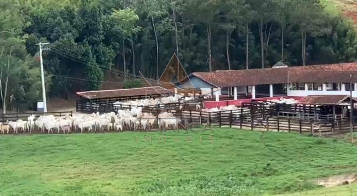Aliança Imóveis - Imobiliária em Ribeirão Preto - SP - Fazenda  - Zona Rural - Lorena