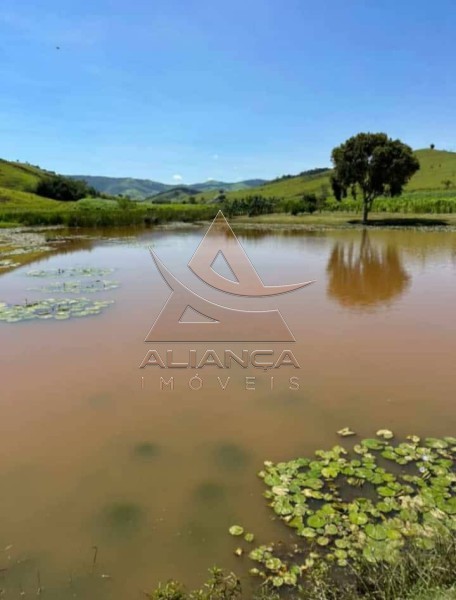 Aliança Imóveis - Imobiliária em Ribeirão Preto - SP - Fazenda  - Zona Rural - Lorena