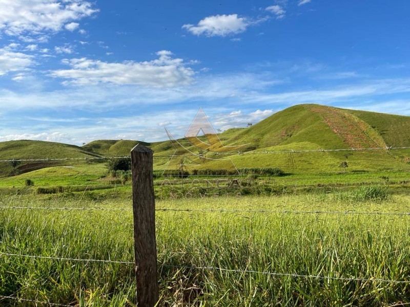 Aliança Imóveis - Imobiliária em Ribeirão Preto - SP - Fazenda  - Zona Rural - Lorena