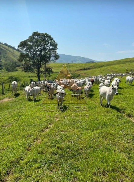 Aliança Imóveis - Imobiliária em Ribeirão Preto - SP - Fazenda  - Zona Rural - Lorena