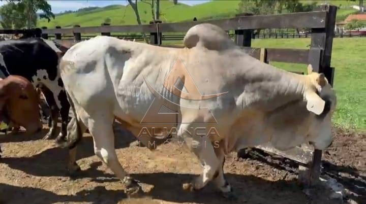 Aliança Imóveis - Imobiliária em Ribeirão Preto - SP - Fazenda  - Zona Rural - Lorena