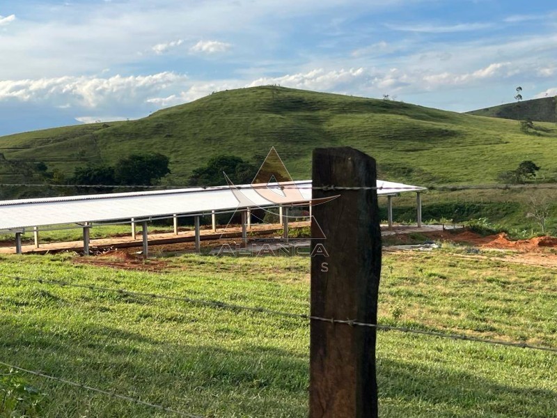 Aliança Imóveis - Imobiliária em Ribeirão Preto - SP - Fazenda  - Zona Rural - Lorena