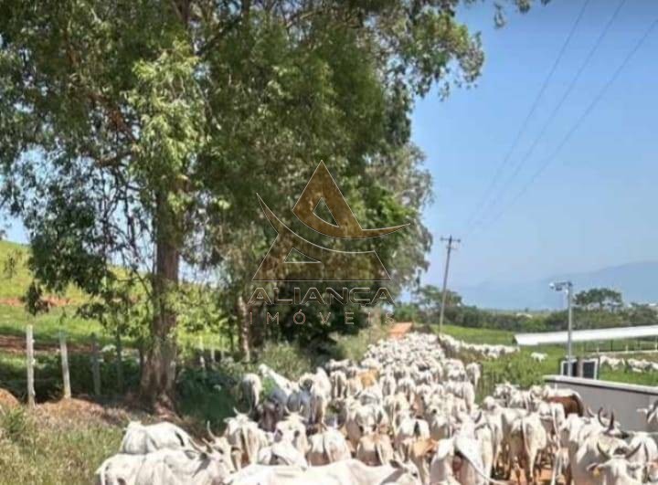 Aliança Imóveis - Imobiliária em Ribeirão Preto - SP - Fazenda  - Zona Rural - Lorena