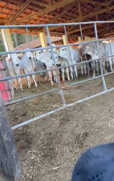 Aliança Imóveis - Imobiliária em Ribeirão Preto - SP - Fazenda  - Zona Rural - Lorena