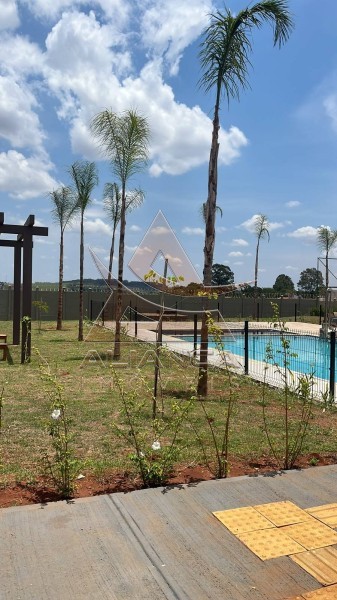 Aliança Imóveis - Imobiliária em Ribeirão Preto - SP - Apartamento - Cândido Portinari - Ribeirão Preto
