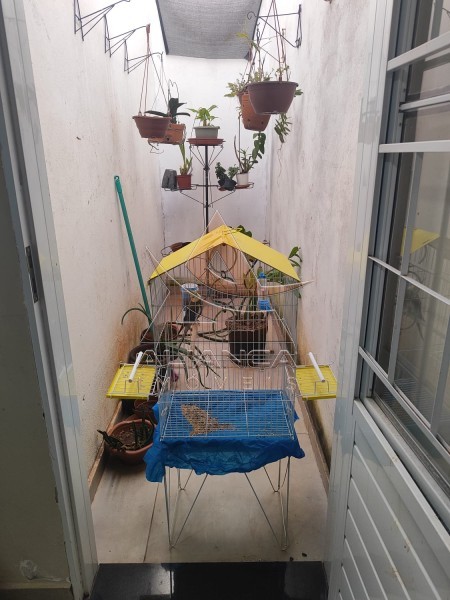 Aliança Imóveis - Imobiliária em Ribeirão Preto - SP - Casa - Jamil Cury - Ribeirão Preto