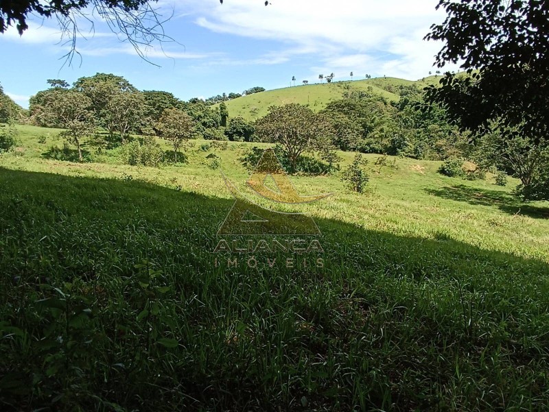 Aliança Imóveis - Imobiliária em Ribeirão Preto - SP - Fazenda  - Zona Rural - Mogi Mirim