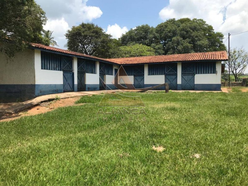 Aliança Imóveis - Imobiliária em Ribeirão Preto - SP - Fazenda  - Zona Rural - Mogi Mirim