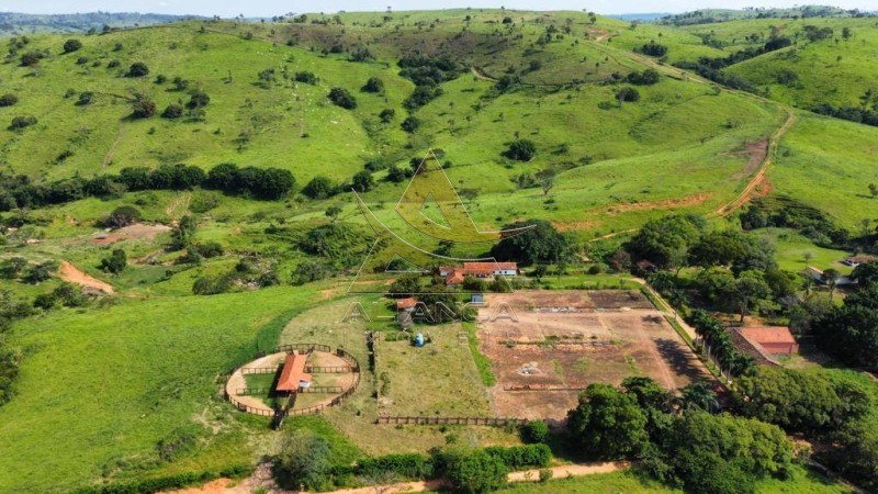 Aliança Imóveis - Imobiliária em Ribeirão Preto - SP - Fazenda  - Zona Rural - Mogi Mirim