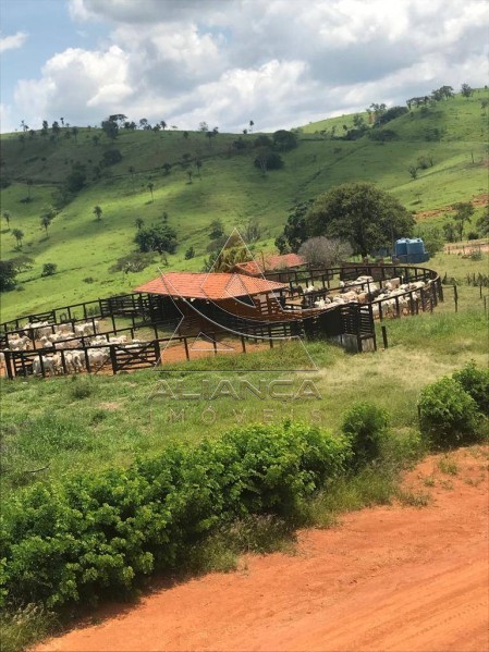 Aliança Imóveis - Imobiliária em Ribeirão Preto - SP - Fazenda  - Zona Rural - Mogi Mirim