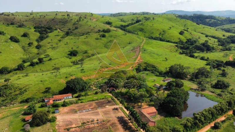 Aliança Imóveis - Imobiliária em Ribeirão Preto - SP - Fazenda  - Zona Rural - Mogi Mirim