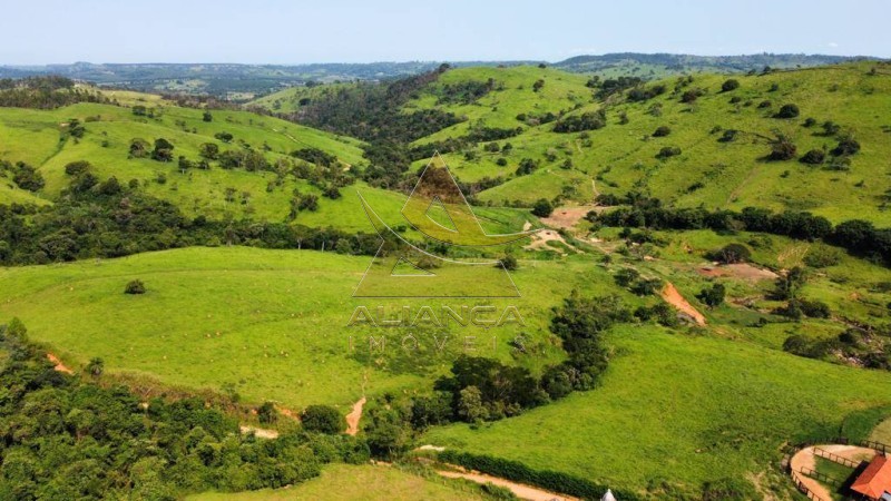 Aliança Imóveis - Imobiliária em Ribeirão Preto - SP - Fazenda  - Zona Rural - Mogi Mirim