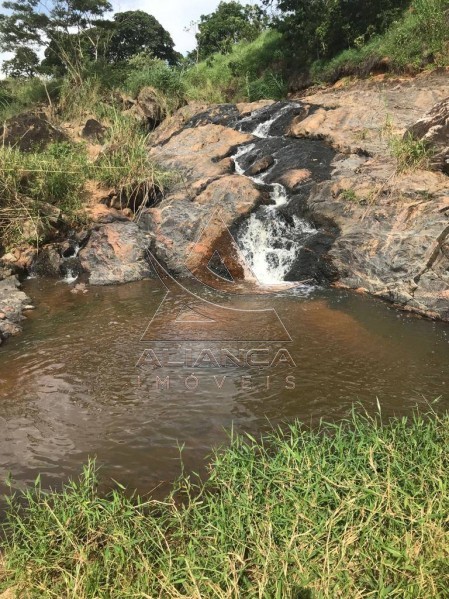 Aliança Imóveis - Imobiliária em Ribeirão Preto - SP - Fazenda  - Zona Rural - Mogi Mirim