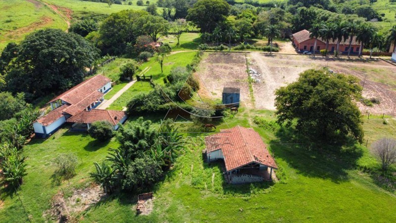 Aliança Imóveis - Imobiliária em Ribeirão Preto - SP - Fazenda  - Zona Rural - Mogi Mirim