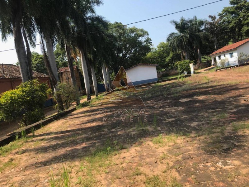 Aliança Imóveis - Imobiliária em Ribeirão Preto - SP - Fazenda  - Zona Rural - Mogi Mirim
