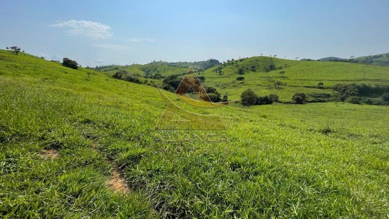 Aliança Imóveis - Imobiliária em Ribeirão Preto - SP - Fazenda  - Zona Rural - Mogi Mirim