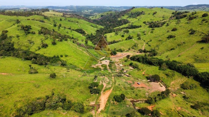 Aliança Imóveis - Imobiliária em Ribeirão Preto - SP - Fazenda  - Zona Rural - Mogi Mirim
