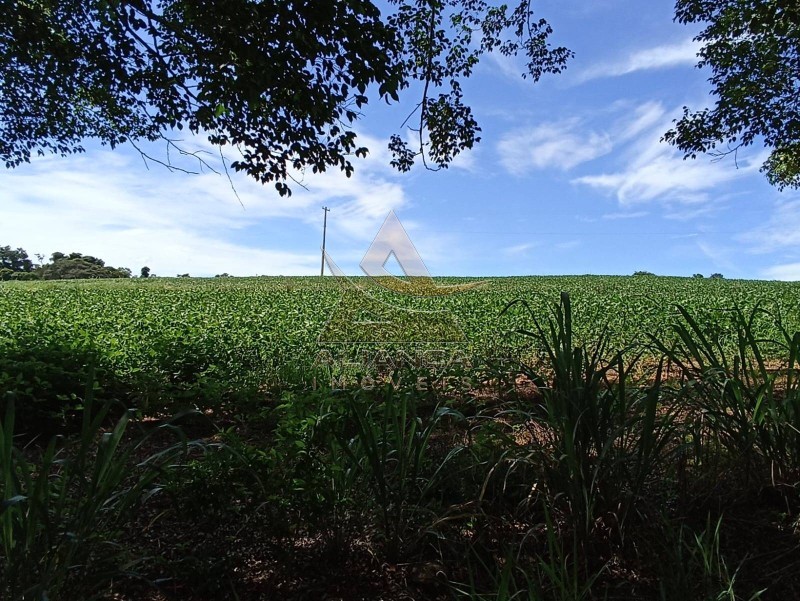 Aliança Imóveis - Imobiliária em Ribeirão Preto - SP - Fazenda  - Zona Rural - Mogi Mirim