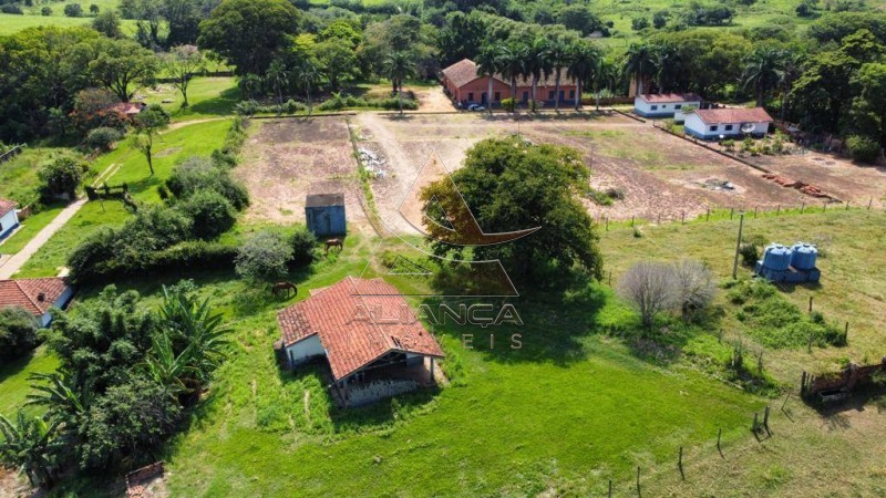 Aliança Imóveis - Imobiliária em Ribeirão Preto - SP - Fazenda  - Zona Rural - Mogi Mirim