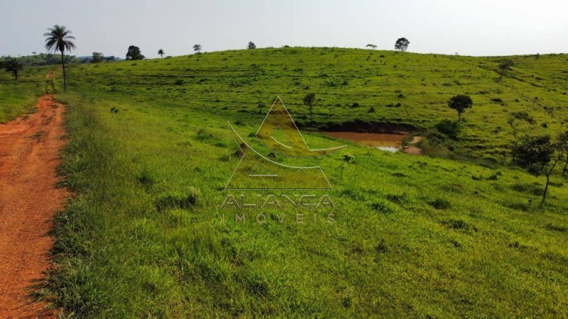Aliança Imóveis - Imobiliária em Ribeirão Preto - SP - Fazenda  - Zona Rural - Mogi Mirim