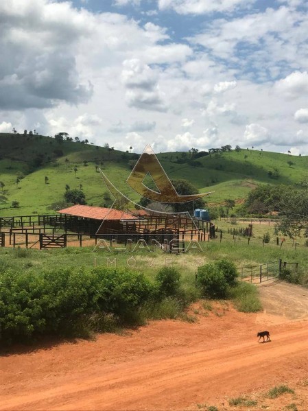 Aliança Imóveis - Imobiliária em Ribeirão Preto - SP - Fazenda  - Zona Rural - Mogi Mirim