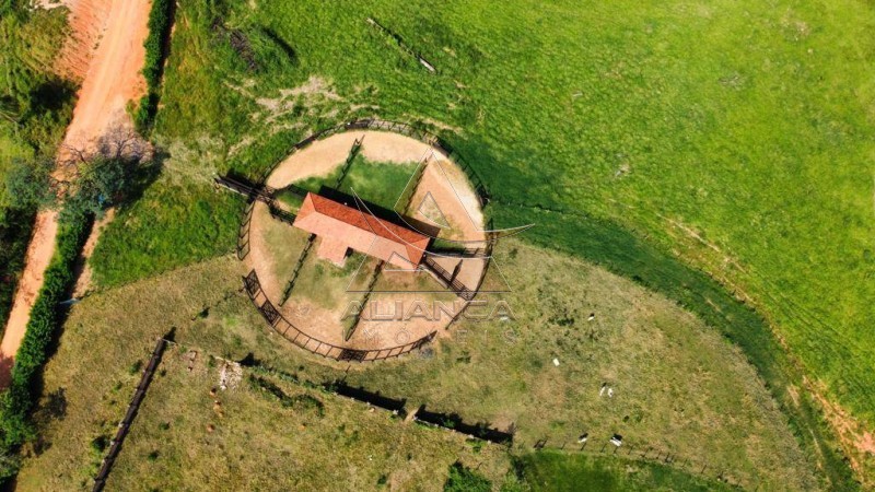 Aliança Imóveis - Imobiliária em Ribeirão Preto - SP - Fazenda  - Zona Rural - Mogi Mirim