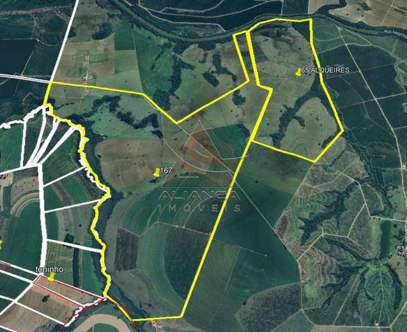 Aliança Imóveis - Imobiliária em Ribeirão Preto - SP - Fazenda  - Zona Rural - Mogi Mirim