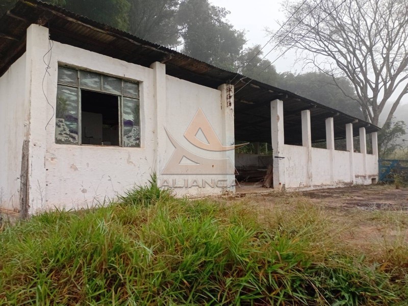 Aliança Imóveis - Imobiliária em Ribeirão Preto - SP - Fazenda  - Zona Rural - Santa Rosa de Viterbo
