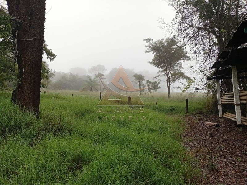 Aliança Imóveis - Imobiliária em Ribeirão Preto - SP - Fazenda  - Zona Rural - Santa Rosa de Viterbo
