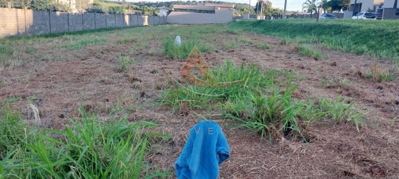 Aliança Imóveis - Imobiliária em Ribeirão Preto - SP - Terreno Condomínio - Terras de Santa Martha - Ribeirão Preto