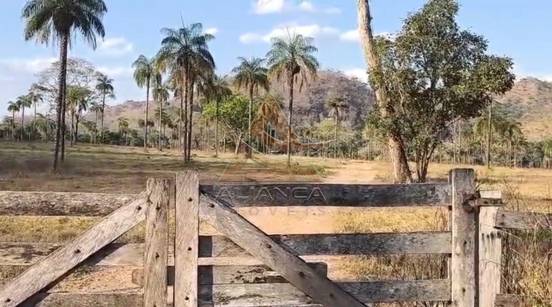 Aliança Imóveis - Imobiliária em Ribeirão Preto - SP - Fazenda  - Zona Rural - Natividade