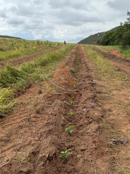 Aliança Imóveis - Imobiliária em Ribeirão Preto - SP - Fazenda  - Zona Rural - Guapé