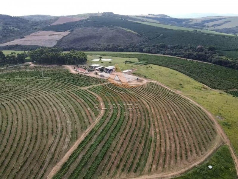 Aliança Imóveis - Imobiliária em Ribeirão Preto - SP - Fazenda  - Zona Rural - Guapé