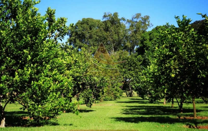 Aliança Imóveis - Imobiliária em Ribeirão Preto - SP - Fazenda  - Zona Rural - João Pinheiro