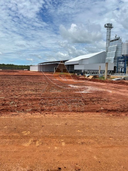 Aliança Imóveis - Imobiliária em Ribeirão Preto - SP - Fazenda  - Zona Rural - João Pinheiro
