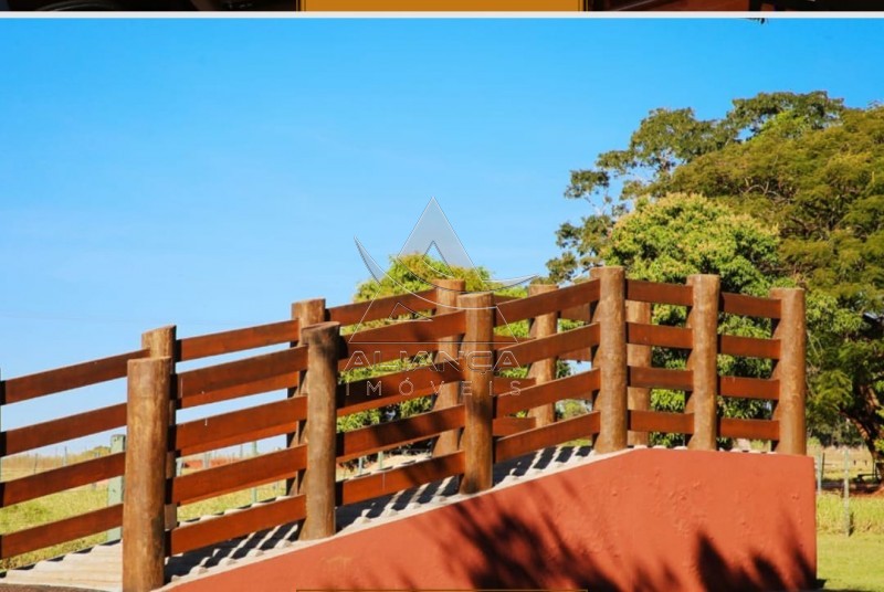 Aliança Imóveis - Imobiliária em Ribeirão Preto - SP - Fazenda  - Zona Rural - João Pinheiro