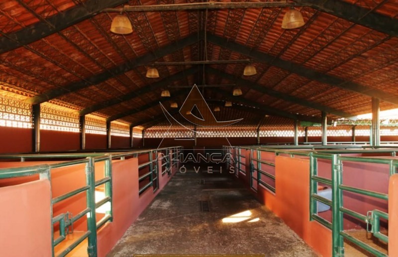 Aliança Imóveis - Imobiliária em Ribeirão Preto - SP - Fazenda  - Zona Rural - João Pinheiro