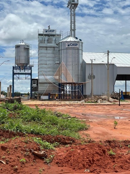 Aliança Imóveis - Imobiliária em Ribeirão Preto - SP - Fazenda  - Zona Rural - João Pinheiro