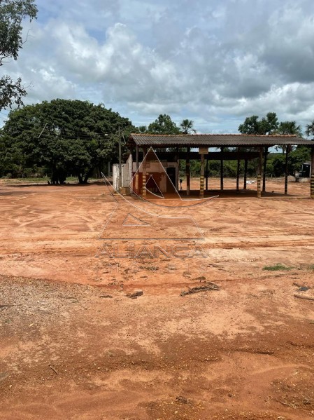 Aliança Imóveis - Imobiliária em Ribeirão Preto - SP - Fazenda  - Zona Rural - João Pinheiro