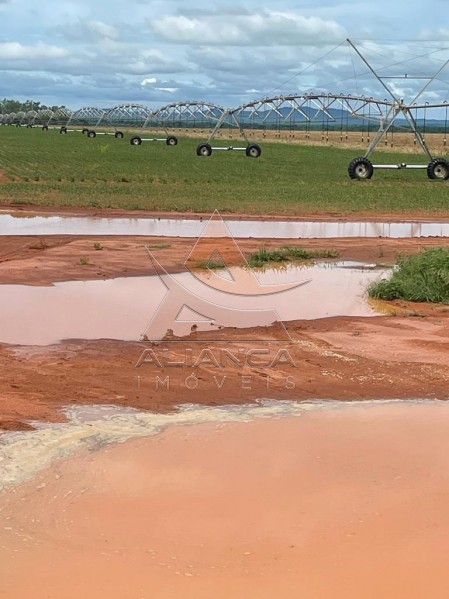Aliança Imóveis - Imobiliária em Ribeirão Preto - SP - Fazenda  - Zona Rural - João Pinheiro