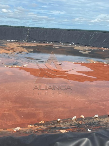 Aliança Imóveis - Imobiliária em Ribeirão Preto - SP - Fazenda  - Zona Rural - João Pinheiro