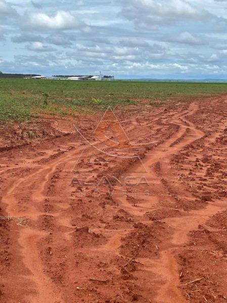 Aliança Imóveis - Imobiliária em Ribeirão Preto - SP - Fazenda  - Zona Rural - João Pinheiro