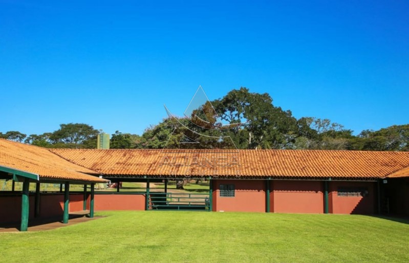 Aliança Imóveis - Imobiliária em Ribeirão Preto - SP - Fazenda  - Zona Rural - João Pinheiro
