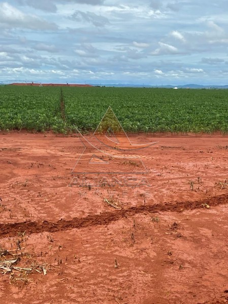 Aliança Imóveis - Imobiliária em Ribeirão Preto - SP - Fazenda  - Zona Rural - João Pinheiro