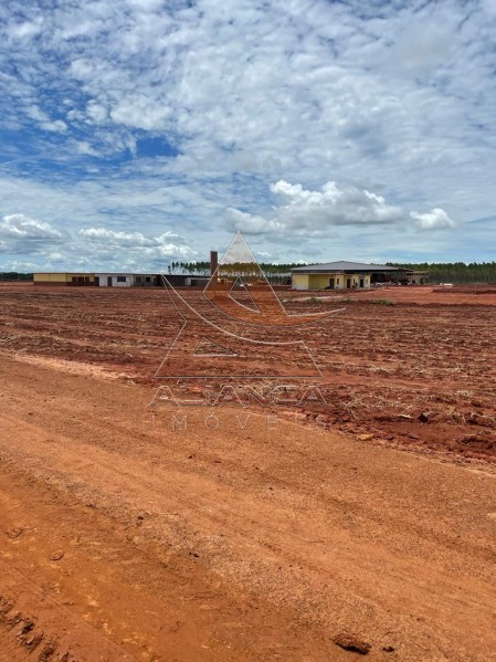 Aliança Imóveis - Imobiliária em Ribeirão Preto - SP - Fazenda  - Zona Rural - João Pinheiro