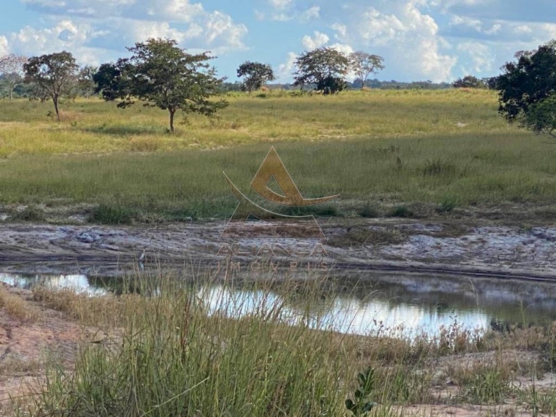 Aliança Imóveis - Imobiliária em Ribeirão Preto - SP - Fazenda  - Zona Rural - Santa Vitoria