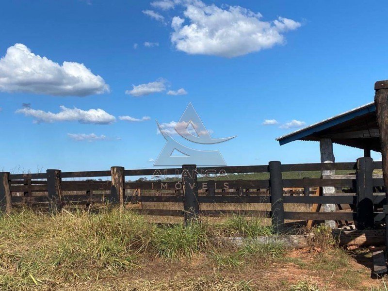 Aliança Imóveis - Imobiliária em Ribeirão Preto - SP - Fazenda  - Zona Rural - Santa Vitoria