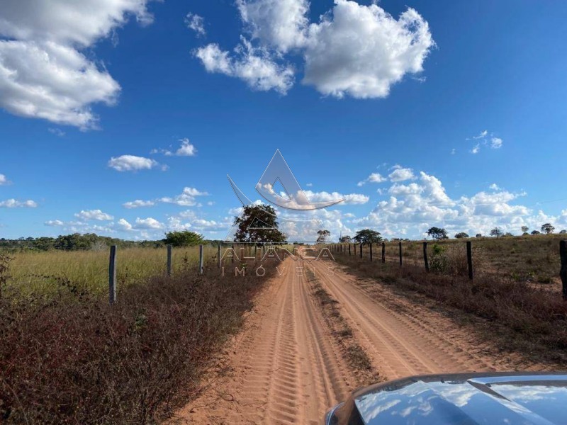Aliança Imóveis - Imobiliária em Ribeirão Preto - SP - Fazenda  - Zona Rural - Santa Vitoria
