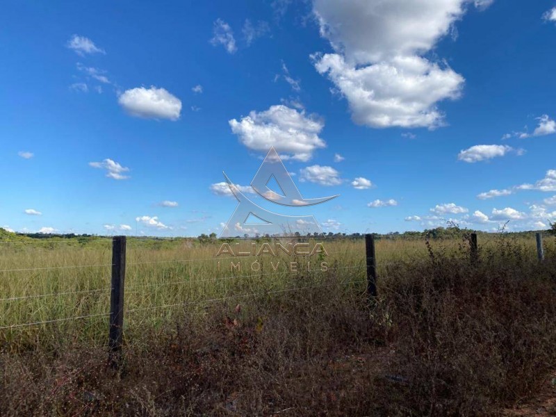 Aliança Imóveis - Imobiliária em Ribeirão Preto - SP - Fazenda  - Zona Rural - Santa Vitoria