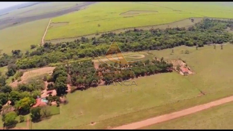 Aliança Imóveis - Imobiliária em Ribeirão Preto - SP - Fazenda  - Zona Rural - Santa Vitoria